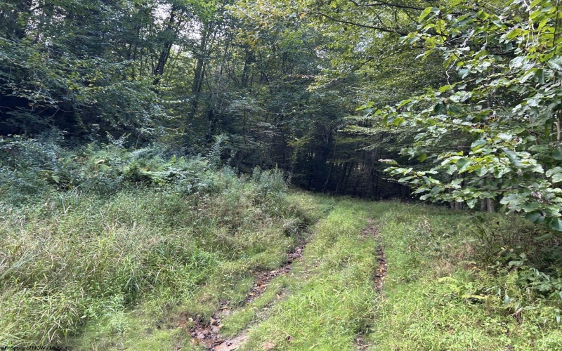 Lot 9 Possum Hollow Road, Terra Alta, West Virginia 26764, 0 , 0 ,0,Lots/land,For Sale,Possum Hollow,0,10166773