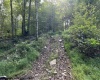 Lot 10 Copper Head Road, Terra Alta, West Virginia 26764, 0 , 0 ,0,Lots/land,For Sale,Copper Head,0,10166775