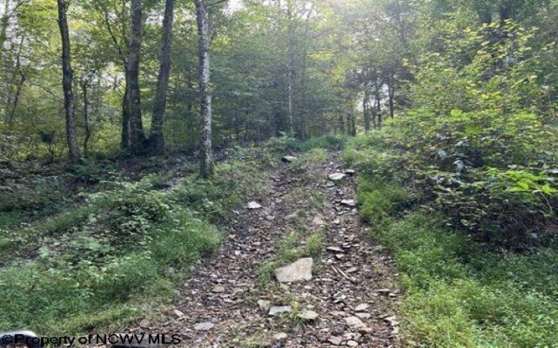 Lot 10 Copper Head Road, Terra Alta, West Virginia 26764, 0 , 0 ,0,Lots/land,For Sale,Copper Head,0,10166775