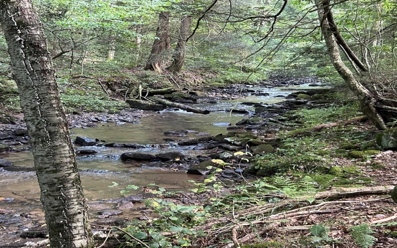 Lot 10 Copper Head Road, Terra Alta, West Virginia 26764, 0 , 0 ,0,Lots/land,For Sale,Copper Head,0,10166775