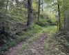 Lot 10 Copper Head Road, Terra Alta, West Virginia 26764, 0 , 0 ,0,Lots/land,For Sale,Copper Head,0,10166775