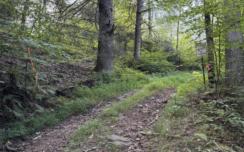 Lot 10 Copper Head Road, Terra Alta, West Virginia 26764, 0 , 0 ,0,Lots/land,For Sale,Copper Head,0,10166775