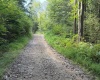Lot 10 Copper Head Road, Terra Alta, West Virginia 26764, 0 , 0 ,0,Lots/land,For Sale,Copper Head,0,10166775