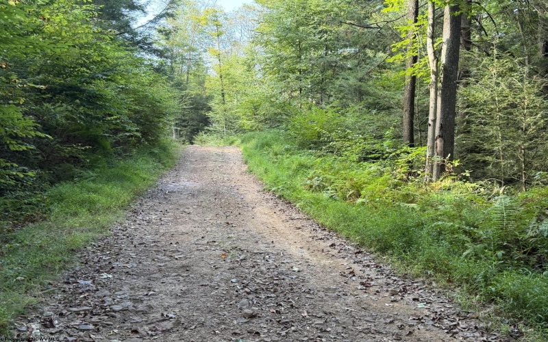Lot 10 Copper Head Road, Terra Alta, West Virginia 26764, 0 , 0 ,0,Lots/land,For Sale,Copper Head,0,10166775