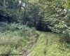 Lot 10 Copper Head Road, Terra Alta, West Virginia 26764, 0 , 0 ,0,Lots/land,For Sale,Copper Head,0,10166775