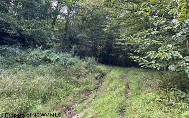 Lot 10 Copper Head Road, Terra Alta, West Virginia 26764, 0 , 0 ,0,Lots/land,For Sale,Copper Head,0,10166775
