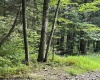 Lot 10 Copper Head Road, Terra Alta, West Virginia 26764, 0 , 0 ,0,Lots/land,For Sale,Copper Head,0,10166775