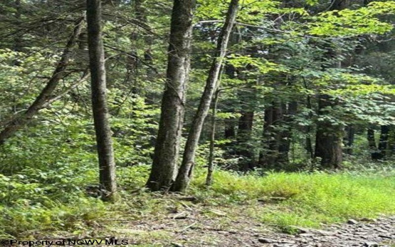 Lot 10 Copper Head Road, Terra Alta, West Virginia 26764, 0 , 0 ,0,Lots/land,For Sale,Copper Head,0,10166775
