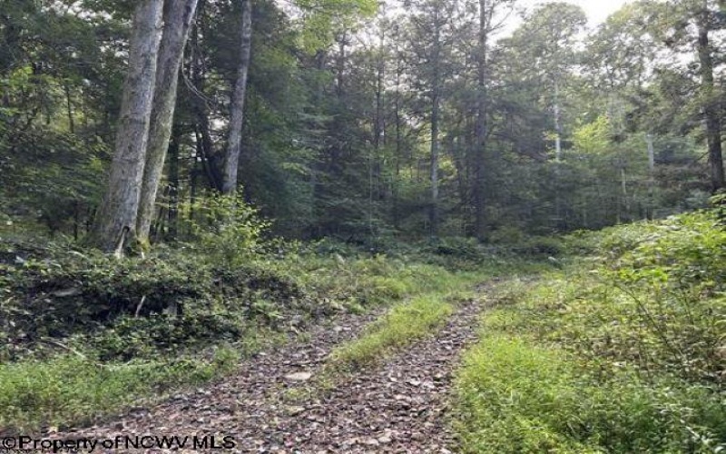 Lot 10 Copper Head Road, Terra Alta, West Virginia 26764, 0 , 0 ,0,Lots/land,For Sale,Copper Head,0,10166775