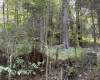 Lot 11 Copper Head Road, Terra Alta, West Virginia 26764, 0 , 0 ,0,Lots/land,For Sale,Copper Head,0,10166776