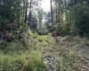 Lot 11 Copper Head Road, Terra Alta, West Virginia 26764, 0 , 0 ,0,Lots/land,For Sale,Copper Head,0,10166776