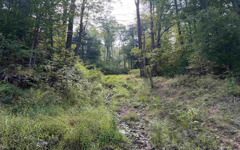 Lot 11 Copper Head Road, Terra Alta, West Virginia 26764, 0 , 0 ,0,Lots/land,For Sale,Copper Head,0,10166776