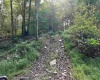 Lot 12 Copper Head Road, Terra Alta, West Virginia 26764, 0 , 0 ,0,Lots/land,For Sale,Copper Head,0,10166777