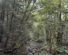 Lot 12 Copper Head Road, Terra Alta, West Virginia 26764, 0 , 0 ,0,Lots/land,For Sale,Copper Head,0,10166777 Lot 12 Copper Head Road, Terra Alta, West Virginia 26764, 0 , 0 ,0,Lots/land,For Sale,Copper Head,0,10166777