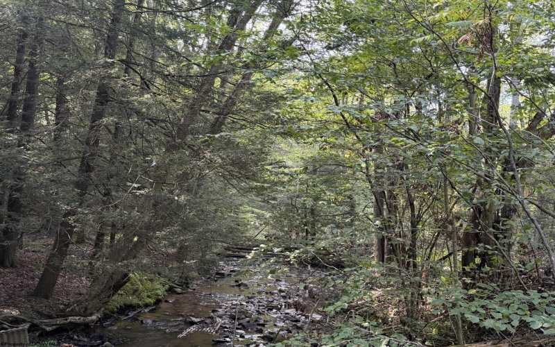 Lot 12 Copper Head Road, Terra Alta, West Virginia 26764, 0 , 0 ,0,Lots/land,For Sale,Copper Head,0,10166777 Lot 12 Copper Head Road, Terra Alta, West Virginia 26764, 0 , 0 ,0,Lots/land,For Sale,Copper Head,0,10166777