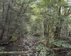 Lot 12 Copper Head Road, Terra Alta, West Virginia 26764, 0 , 0 ,0,Lots/land,For Sale,Copper Head,0,10166777 Lot 12 Copper Head Road, Terra Alta, West Virginia 26764, 0 , 0 ,0,Lots/land,For Sale,Copper Head,0,10166777