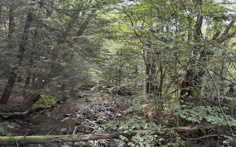 Lot 12 Copper Head Road, Terra Alta, West Virginia 26764, 0 , 0 ,0,Lots/land,For Sale,Copper Head,0,10166777 Lot 12 Copper Head Road, Terra Alta, West Virginia 26764, 0 , 0 ,0,Lots/land,For Sale,Copper Head,0,10166777