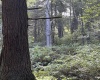 Lot 12 Copper Head Road, Terra Alta, West Virginia 26764, 0 , 0 ,0,Lots/land,For Sale,Copper Head,0,10166777