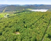 221 Anemone Lane, Terra Alta, West Virginia 26764, 3 Bedroom Bedrooms, 8 Room Rooms,2 BathroomBathrooms,Single Family Detached,For Sale,Anemone,0,10166774