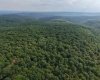1702 Snake Hill Road, Masontown, West Virginia 26542, 0 , 0 ,0,Lots/land,For Sale,Snake Hill,0,10166793