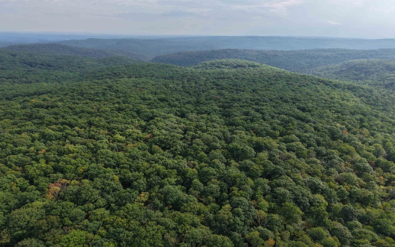 1702 Snake Hill Road, Masontown, West Virginia 26542, 0 , 0 ,0,Lots/land,For Sale,Snake Hill,0,10166793