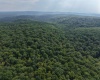 1702 Snake Hill Road, Masontown, West Virginia 26542, 0 , 0 ,0,Lots/land,For Sale,Snake Hill,0,10166793