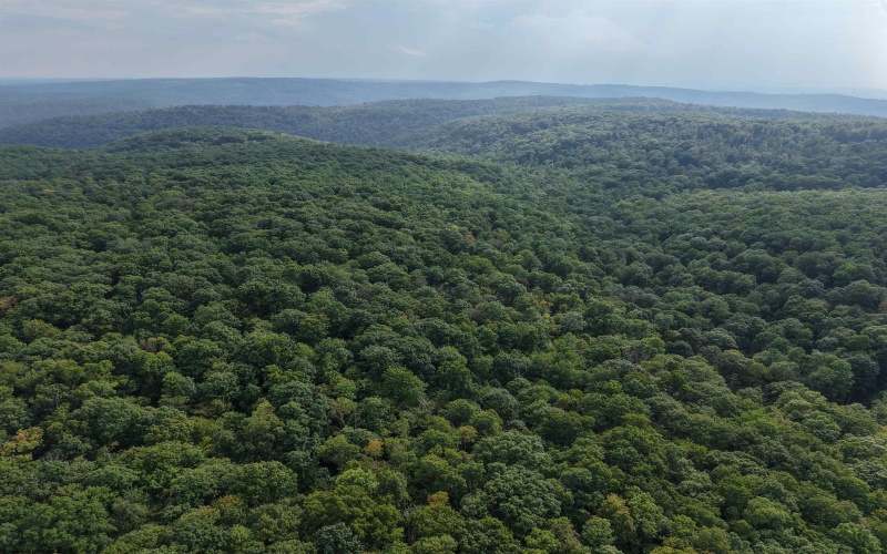 1702 Snake Hill Road, Masontown, West Virginia 26542, 0 , 0 ,0,Lots/land,For Sale,Snake Hill,0,10166793