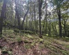 Lots 65 & 66 Gentian Court, Terra Alta, West Virginia 26764, 0 , 0 ,0,Lots/land,For Sale,Gentian,0,10166794