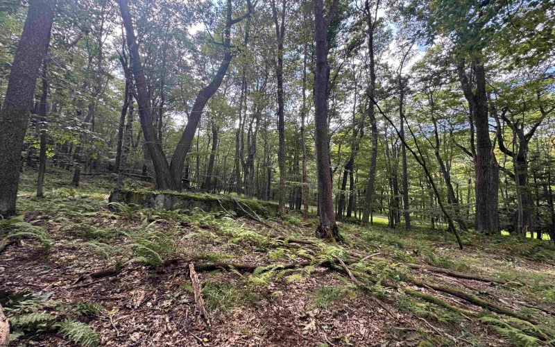 Lots 65 & 66 Gentian Court, Terra Alta, West Virginia 26764, 0 , 0 ,0,Lots/land,For Sale,Gentian,0,10166794