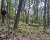 Lots 65 & 66 Gentian Court, Terra Alta, West Virginia 26764, 0 , 0 ,0,Lots/land,For Sale,Gentian,0,10166794