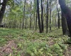 Lots 65 & 66 Gentian Court, Terra Alta, West Virginia 26764, 0 , 0 ,0,Lots/land,For Sale,Gentian,0,10166794