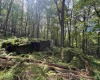 Lots 65 & 66 Gentian Court, Terra Alta, West Virginia 26764, 0 , 0 ,0,Lots/land,For Sale,Gentian,0,10166794