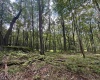 Lots 65 & 66 Gentian Court, Terra Alta, West Virginia 26764, 0 , 0 ,0,Lots/land,For Sale,Gentian,0,10166794