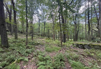 Lots 65 & 66 Gentian Court, Terra Alta, West Virginia 26764, 0 , 0 ,0,Lots/land,For Sale,Gentian,0,10166794