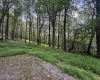 Lots 65 & 66 Gentian Court, Terra Alta, West Virginia 26764, 0 , 0 ,0,Lots/land,For Sale,Gentian,0,10166794