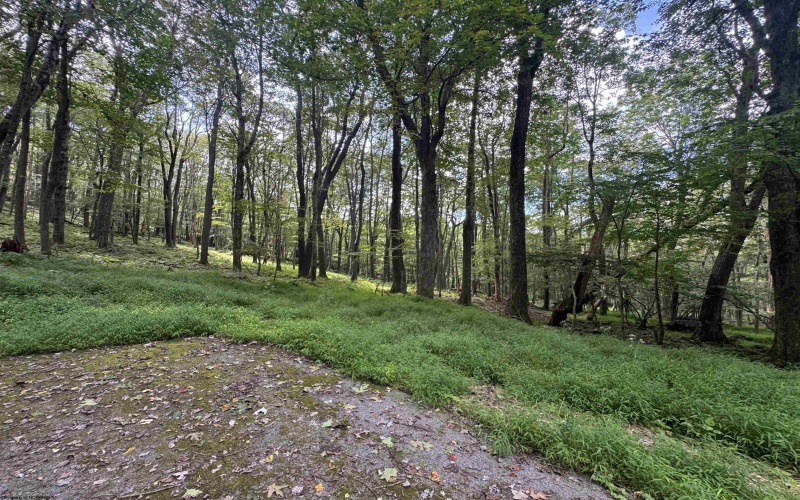 Lots 65 & 66 Gentian Court, Terra Alta, West Virginia 26764, 0 , 0 ,0,Lots/land,For Sale,Gentian,0,10166794