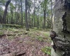 Lots 65 & 66 Gentian Court, Terra Alta, West Virginia 26764, 0 , 0 ,0,Lots/land,For Sale,Gentian,0,10166794