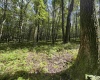 Lots 65 & 66 Gentian Court, Terra Alta, West Virginia 26764, 0 , 0 ,0,Lots/land,For Sale,Gentian,0,10166794