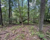 Lots 65 & 66 Gentian Court, Terra Alta, West Virginia 26764, 0 , 0 ,0,Lots/land,For Sale,Gentian,0,10166794