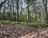 Lots 65 & 66 Gentian Court, Terra Alta, West Virginia 26764, 0 , 0 ,0,Lots/land,For Sale,Gentian,0,10166794