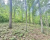 TBD Big Pigeon Road, Procious, West Virginia 25164, 0 , 0 ,0,Lots/land,For Sale,Big Pigeon,0,10166801