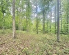 TBD Big Pigeon Road, Procious, West Virginia 25164, 0 , 0 ,0,Lots/land,For Sale,Big Pigeon,0,10166801
