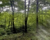 TBD Big Pigeon Road, Procious, West Virginia 25164, 0 , 0 ,0,Lots/land,For Sale,Big Pigeon,0,10166801