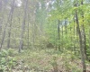 TBD Big Pigeon Road, Procious, West Virginia 25164, 0 , 0 ,0,Lots/land,For Sale,Big Pigeon,0,10166801