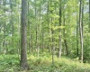 TBD Big Pigeon Road, Procious, West Virginia 25164, 0 , 0 ,0,Lots/land,For Sale,Big Pigeon,0,10166801