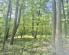 TBD Big Pigeon Road, Procious, West Virginia 25164, 0 , 0 ,0,Lots/land,For Sale,Big Pigeon,0,10166801