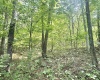 TBD Big Pigeon Road, Procious, West Virginia 25164, 0 , 0 ,0,Lots/land,For Sale,Big Pigeon,0,10166801