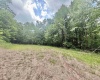 TBD Big Pigeon Road, Procious, West Virginia 25164, 0 , 0 ,0,Lots/land,For Sale,Big Pigeon,0,10166801