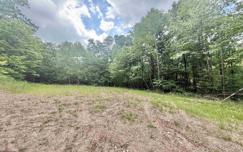 TBD Big Pigeon Road, Procious, West Virginia 25164, 0 , 0 ,0,Lots/land,For Sale,Big Pigeon,0,10166801