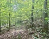 TBD Big Pigeon Road, Procious, West Virginia 25164, 0 , 0 ,0,Lots/land,For Sale,Big Pigeon,0,10166801